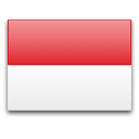 language-flag